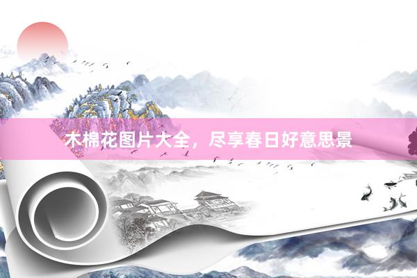 木棉花图片大全，尽享春日好意思景