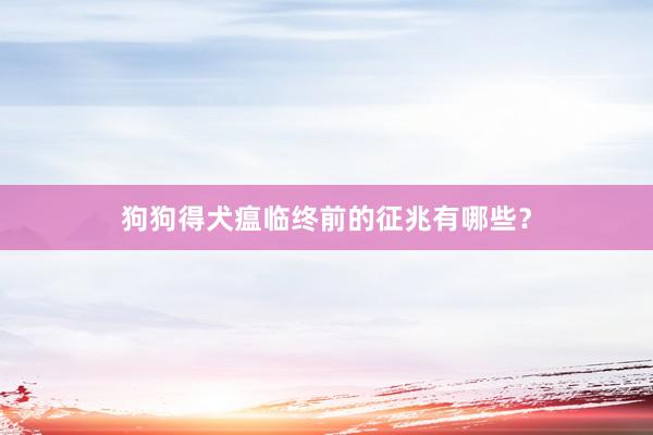 狗狗得犬瘟临终前的征兆有哪些？