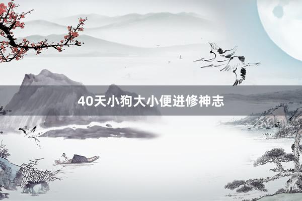 40天小狗大小便进修神志