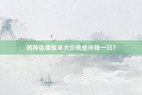 纯种边境牧羊犬价钱些许钱一只？